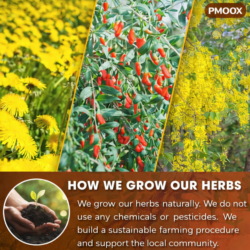 Herbal Detox Tea – Liver & Kidney PMOOX Liver