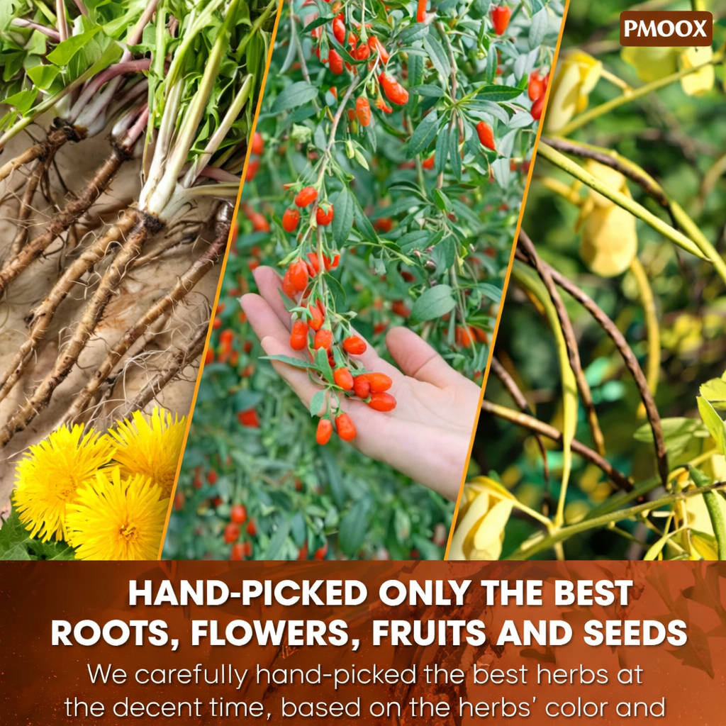 Herbal Detox Tea – Liver & Kidney PMOOX Liver